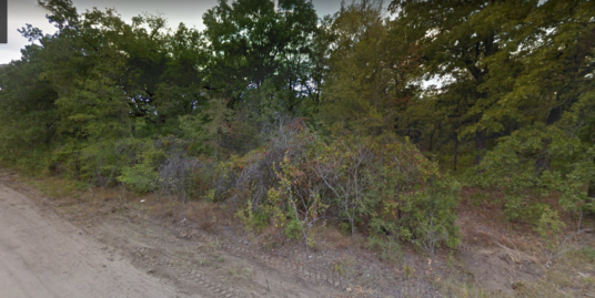 Your perfect place to start in Henderson County, TX near Cedar Creek Lake!